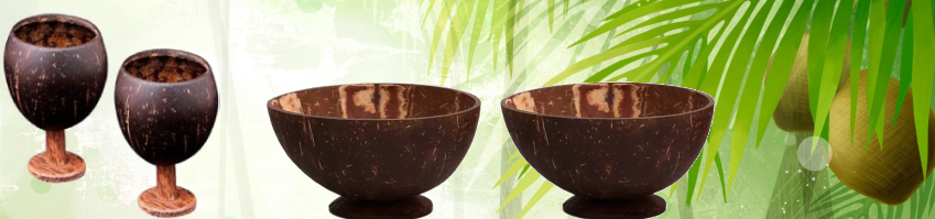 coconutshell-crafts