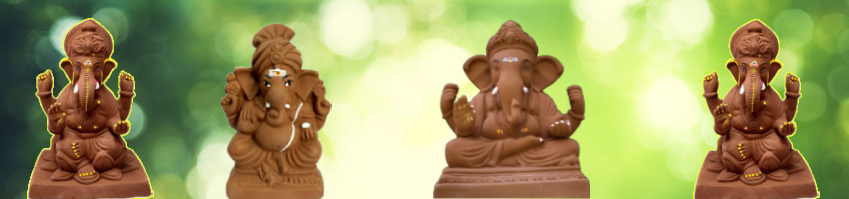 amnotplastic-ecofriednly-seed-Ganapathy
