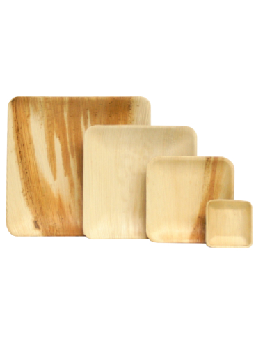 Areca-Square-Plates