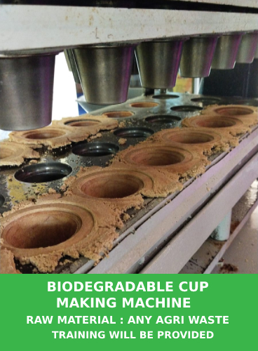Biodegradable-Cup-Machine