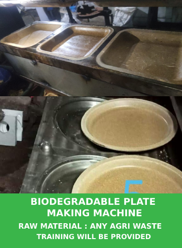 Biodegradable-Plate-Machine