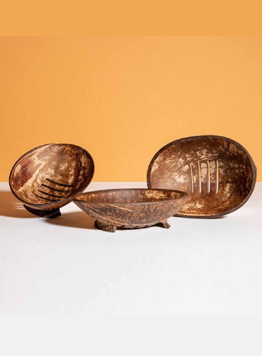 coconut-shell-crafts