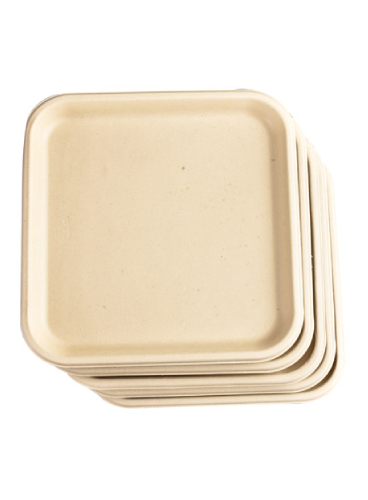 Bagasse-Minimeal-Plates