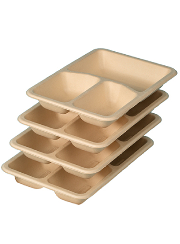 Bagasse-3CP-Tray