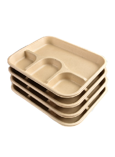 Bagasse-4CP-Tray