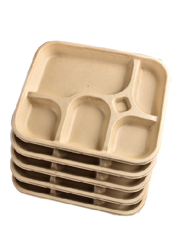 Bagasse-6CP-Tray