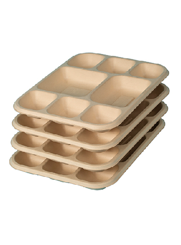 Bagasse-8CP-Tray