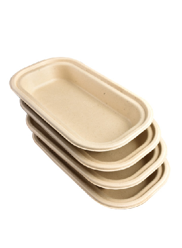 Bagasse-Container