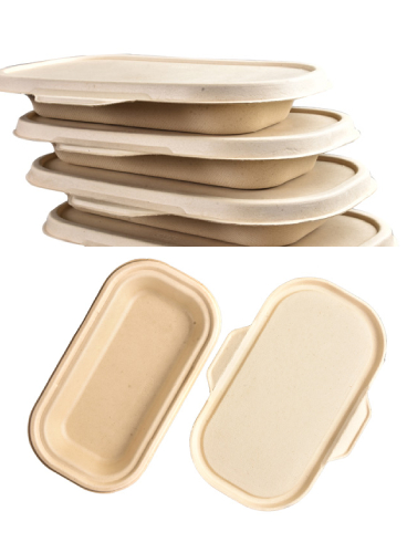 Bagasse-Containers-Lid
