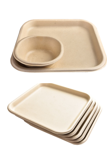 Bagasse-Dinner-Plate