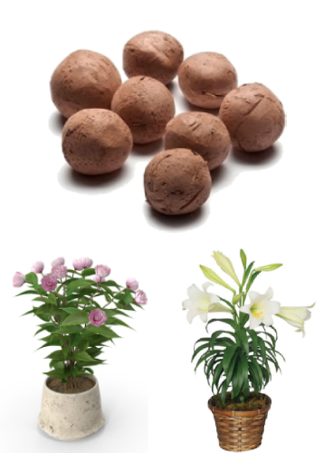 Seed-Balls