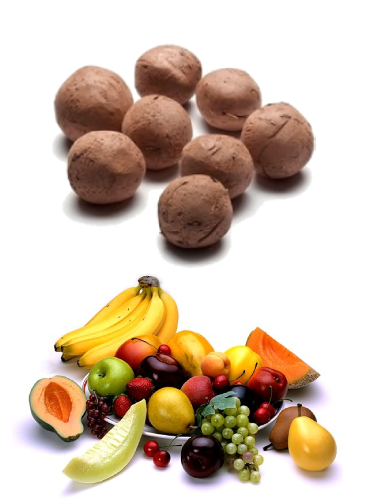 Seed-Balls