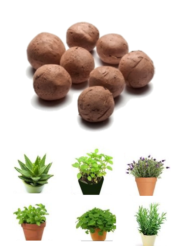 Seed-Balls