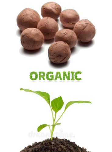 Seed-Balls