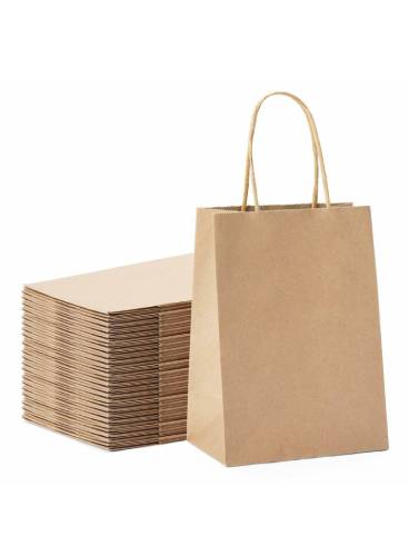 Paper-Bag-Amnotplastic