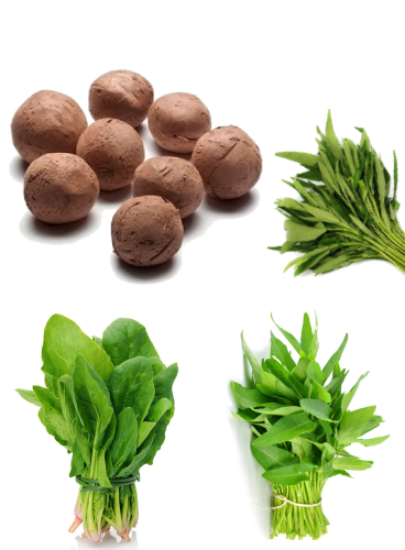 Seed-Balls