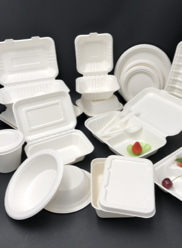 Sugarcane-Bagasse-Amnotplastic