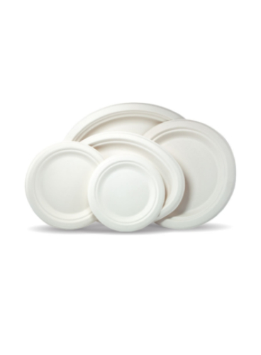 Sugarcane-Plate