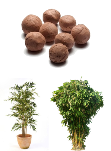 Seed-Balls