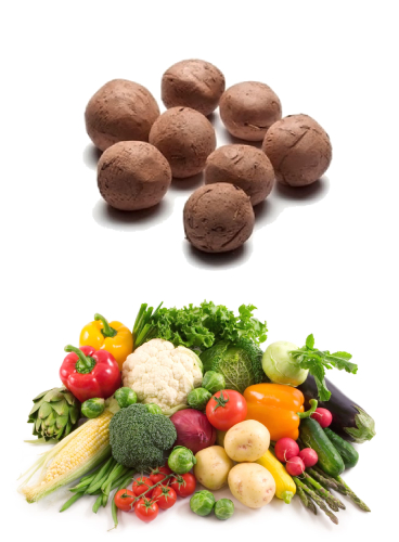 Seed-Balls