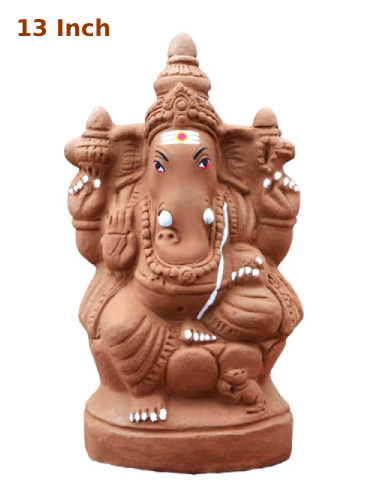 amnotplastic-Seed-Ganapathy
