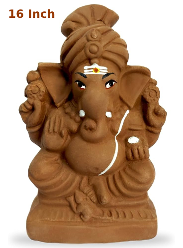 amnotplastic-Seed-Ganapathy