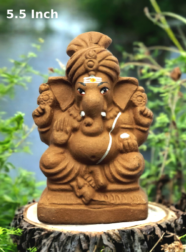 amnotplastic-Seed-Ganapathy