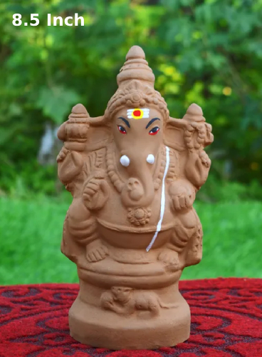 amnotplastic-Seed-Ganapathy