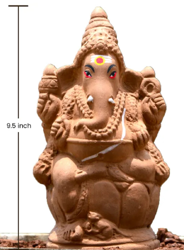 amnotplastic-Seed-Ganapathy