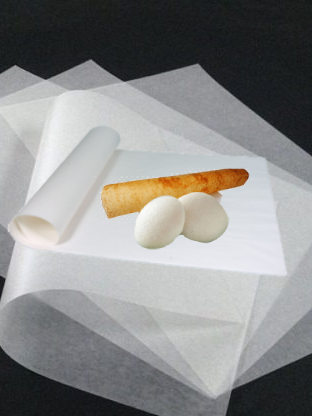 amnotplastic-compostable-dosa-cover