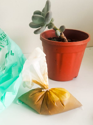 amnotplastic-compostable-sambar-cover