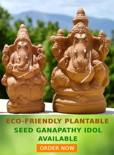 amnotplastic-seed-ganapathy